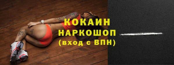 мдпв Верхний Тагил