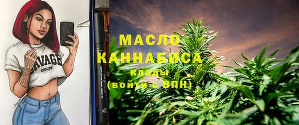 мдпв Верхний Тагил